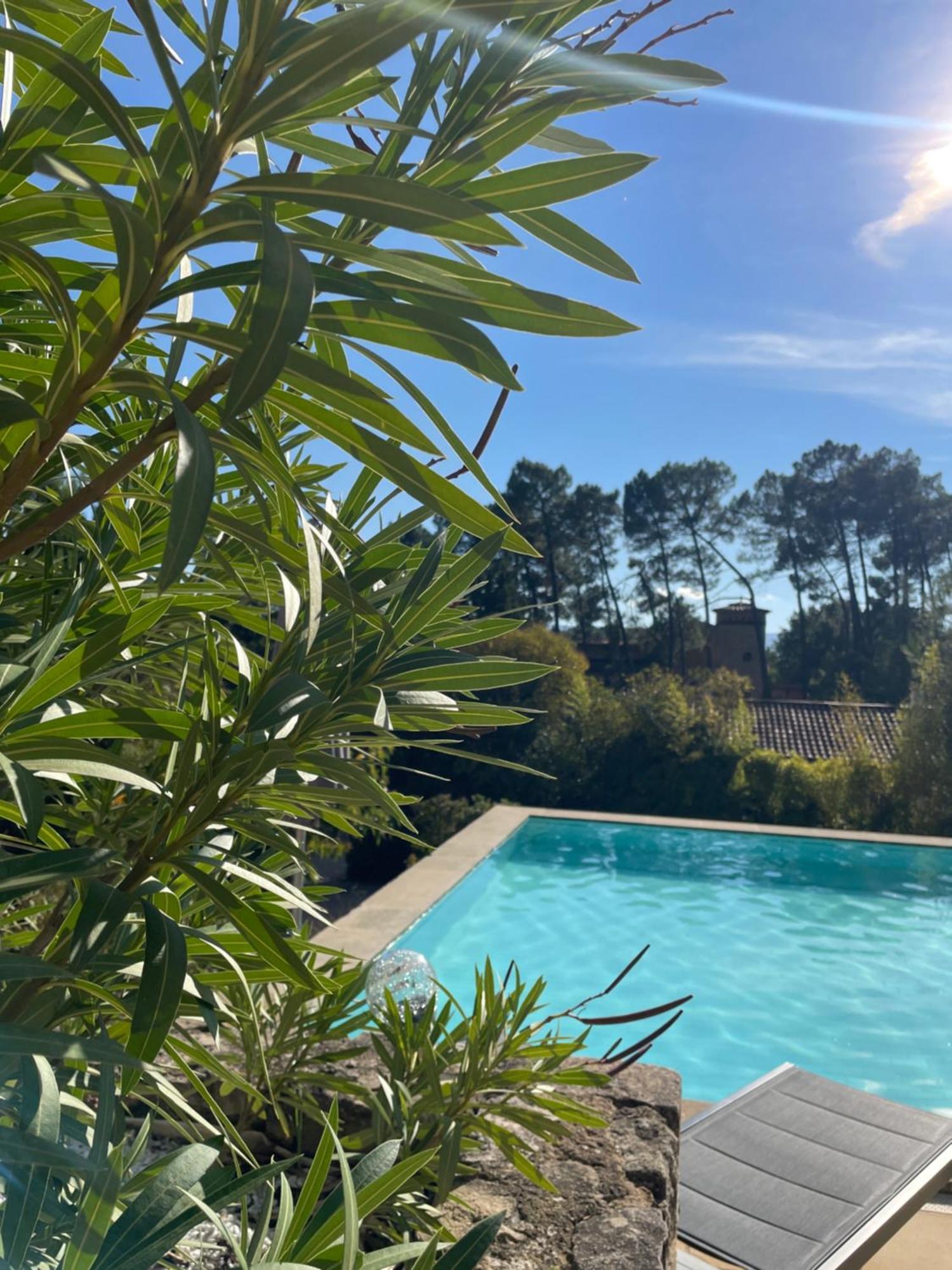 O Coeur Des Ocres Apartment Roussillon en Isere Exterior foto