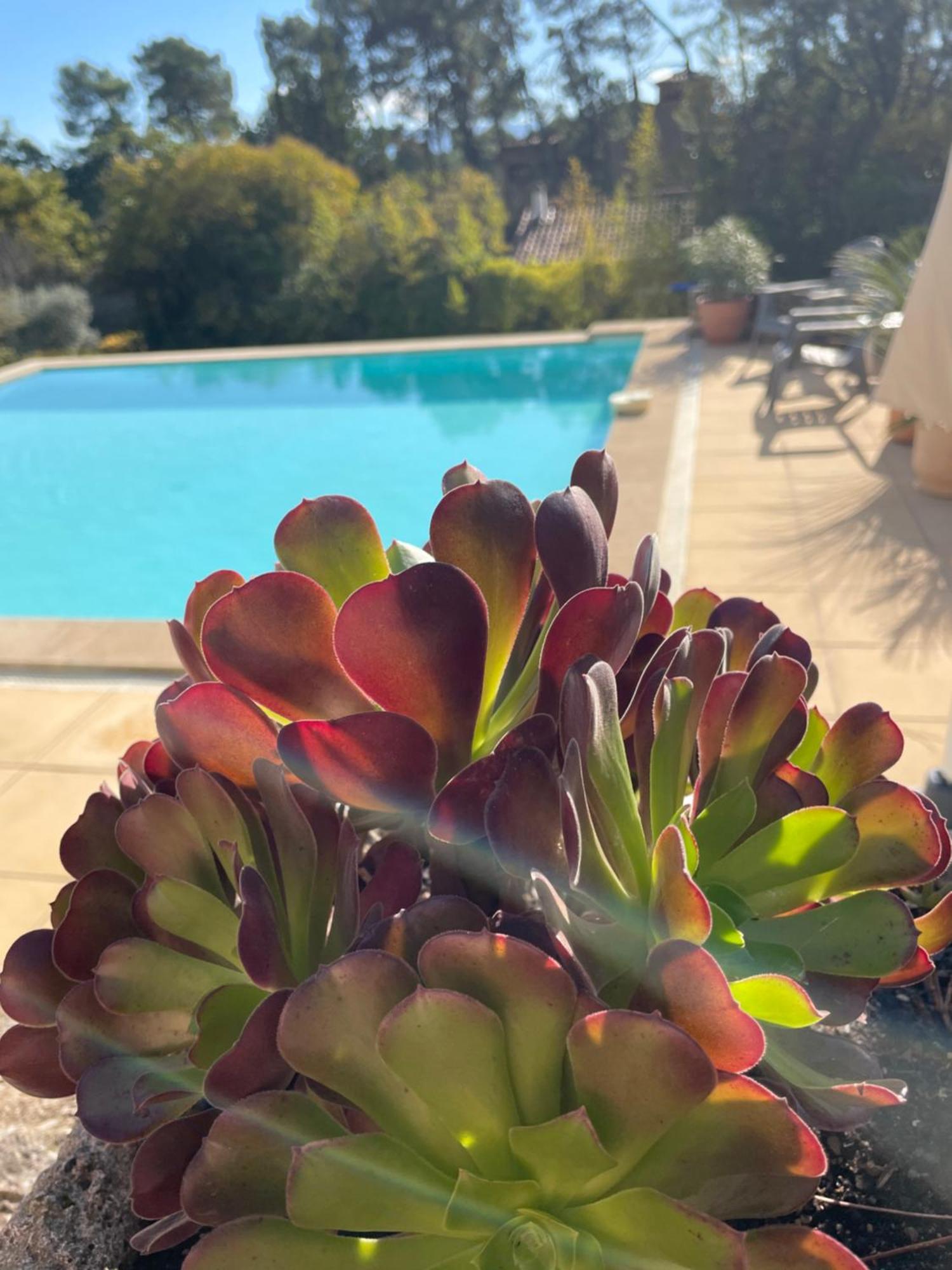 O Coeur Des Ocres Apartment Roussillon en Isere Exterior foto