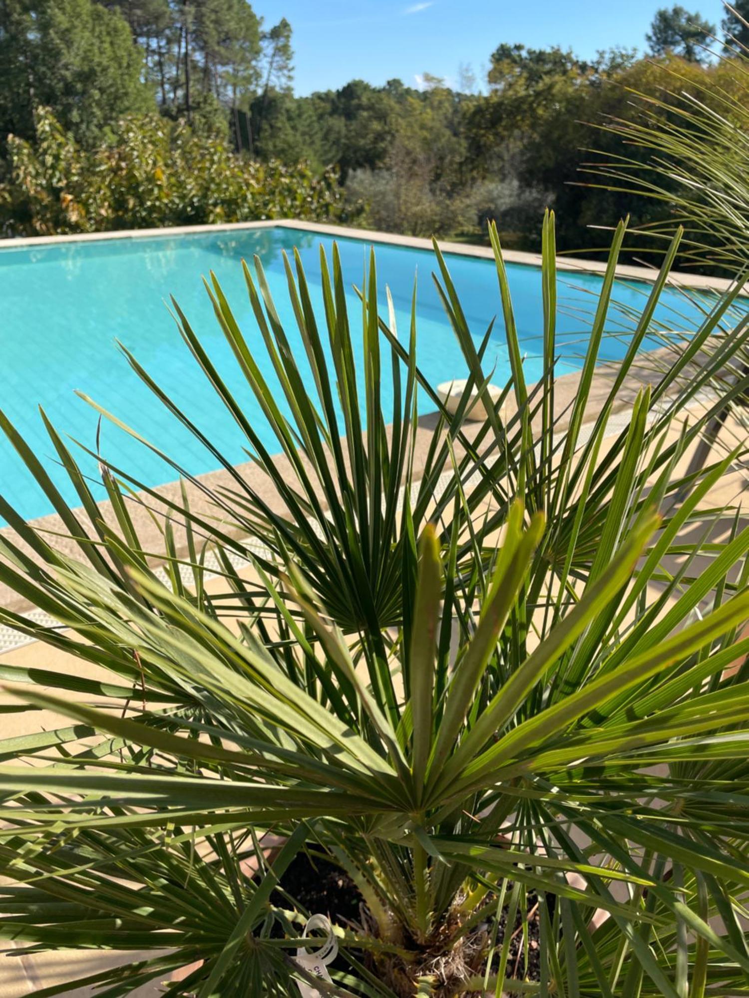 O Coeur Des Ocres Apartment Roussillon en Isere Exterior foto